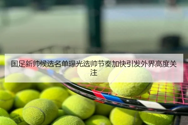 国足新帅候选名单曝光选帅节奏加快引发外界高度关注