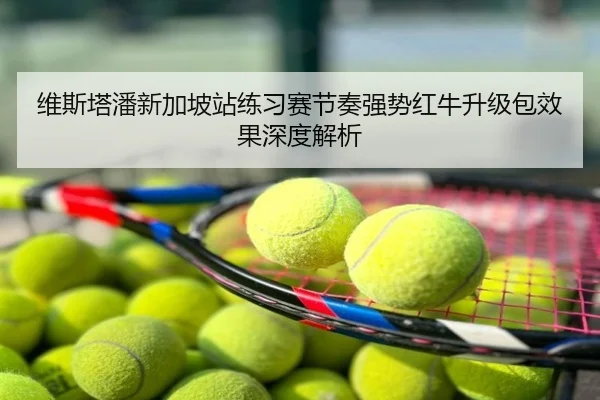 维斯塔潘新加坡站练习赛节奏强势红牛升级包效果深度解析