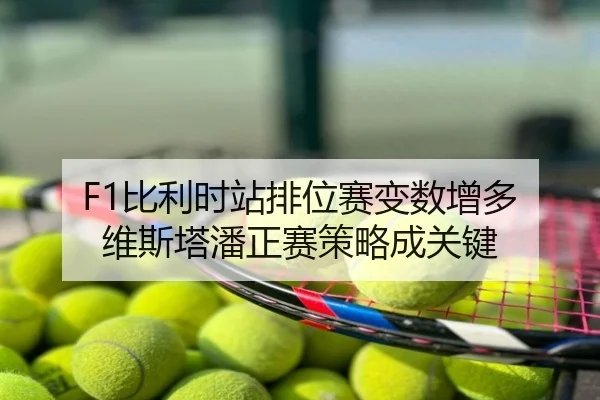 F1比利时站排位赛变数增多 维斯塔潘正赛策略成关键